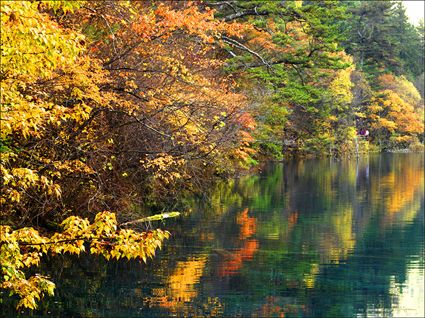 Autumn - Jiuzhaigou National Park - China SQ (PBH4 00 15512)